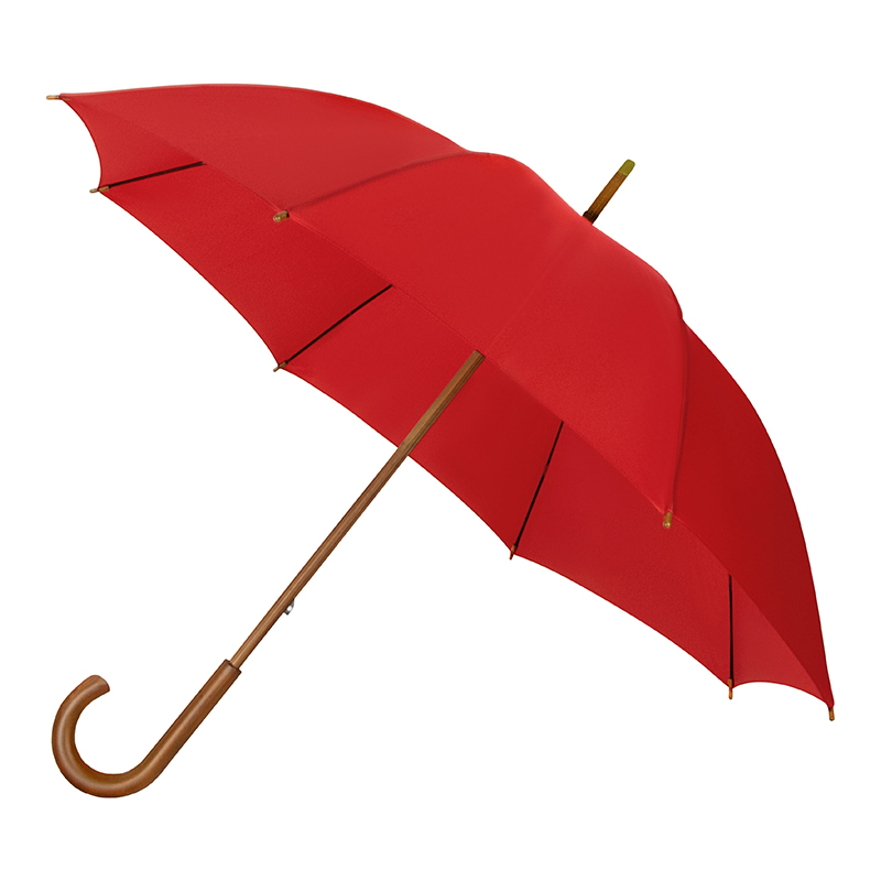 Umbrella | wooden handle
